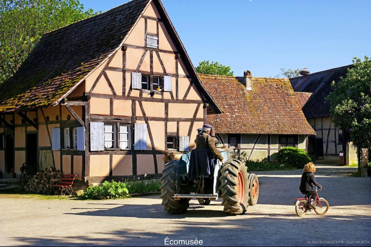 Chalet Du Silberrain Pres De Colmar - Cheminee, Sauna, Piscine Partagee Osenbach Экстерьер фото