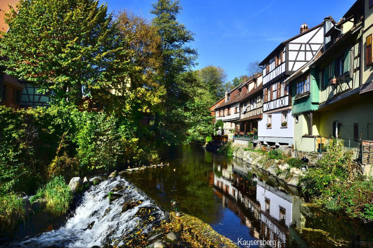 Chalet Du Silberrain Pres De Colmar - Cheminee, Sauna, Piscine Partagee Osenbach Экстерьер фото